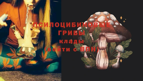 мефедрон Богородицк