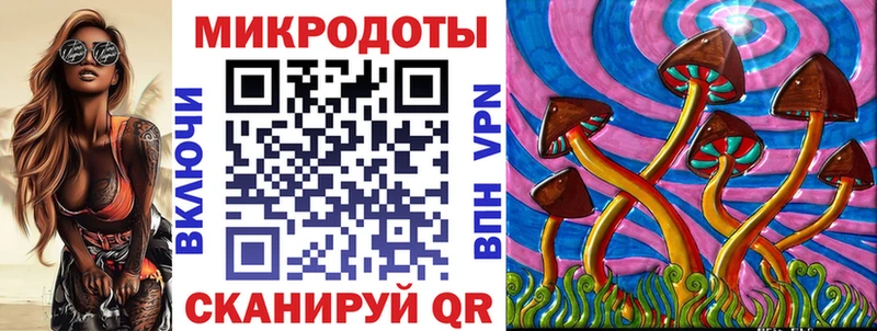 Галлюциногенные грибы Cubensis Купить Новоузенск